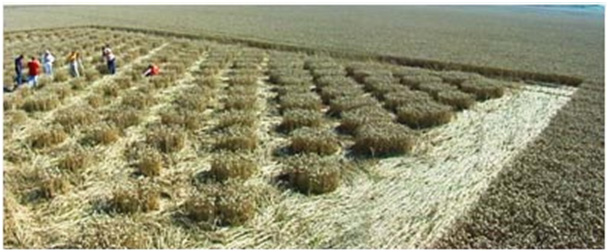 File:Chibolton from ground.jpg