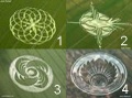 2009 crops-circles.jpg